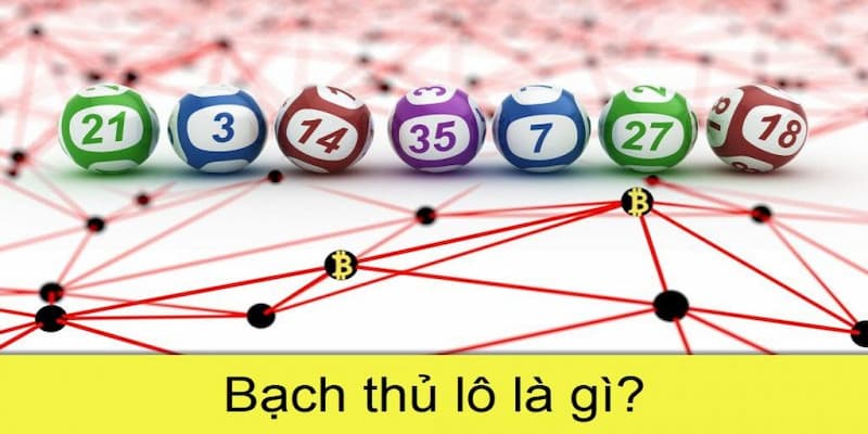 Bạch thủ lô là gì và khái niệm xoay quanh nó