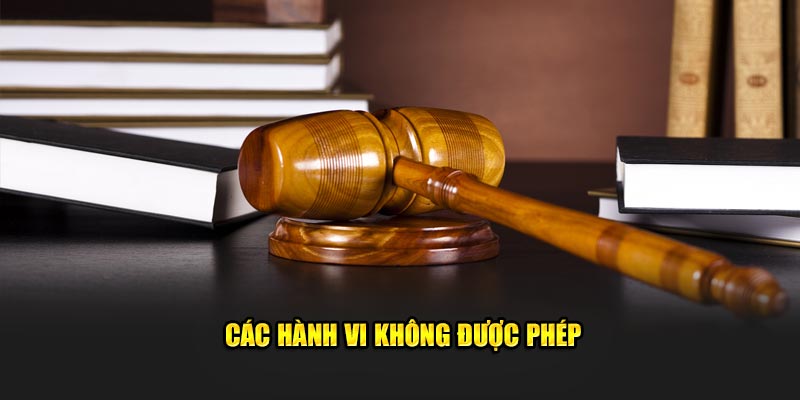 Các hành vi không được phép