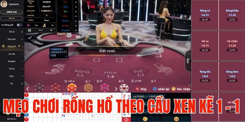 Mẹo chơi Rồng Hổ cược theo cầu xen kẽ 1 - 1